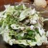 Капустный салат с кинзой