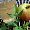 Яблочно-шиповниковый компот