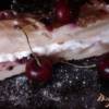 Грушево-ягодный пирог без сахара
