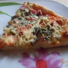 фото рецепта Домашняя пицца